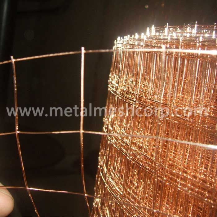 Bronze Coated Welded Wire Mesh